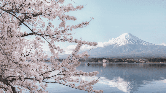 Imagen de JAPÓN AUTÉNTICO